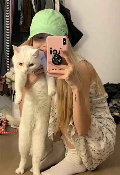 �����ص����ſ��ֽȫ������ ������ֻС�������������