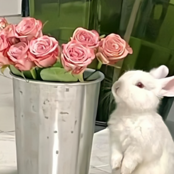 �ܿ��ǩ����������� ��Ŀ����������ǩ��
