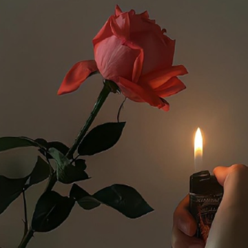 ���������ĺ��и��Ե����� ���ظ�����������