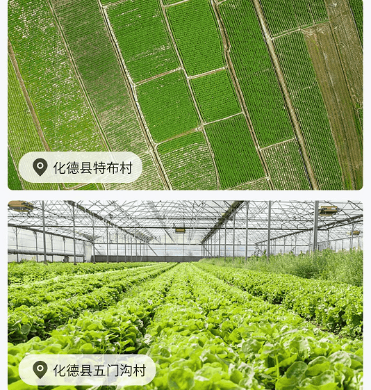 润农物联 润农物联