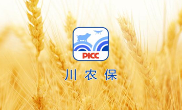 ��ũ��picc����