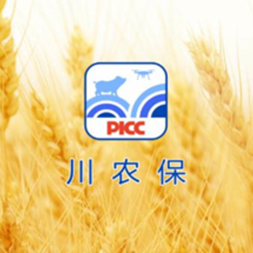 川农保picc下载 川农保picc下载
