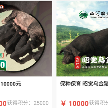 山河村app 山河村app