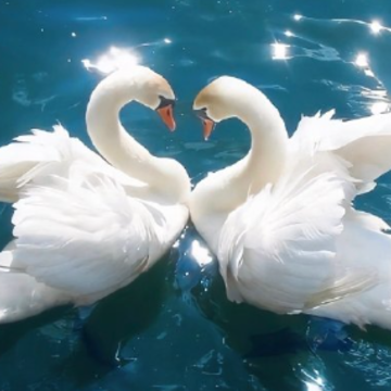 ���������������ڲ�ͬ �������ÿ��ķ���������