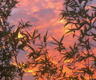 ����ף�������ϵ��� ��ϲ����Ľ��