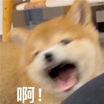 ��Ц��ר�ñ��������ź��� ƨ�ɴ��������
