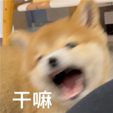 ��Ц��ר�ñ��������ź��� ƨ�ɴ��������