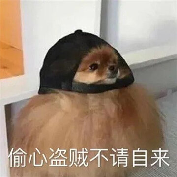 005SPgregy1hf0bkzxpioj30c80c8q3a.jpg