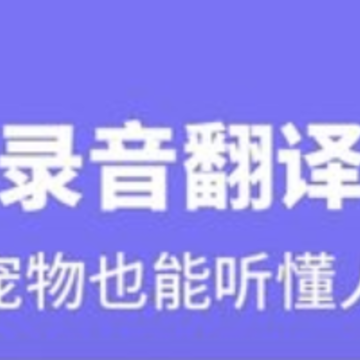 人猫人狗互动器 人猫人狗互动器