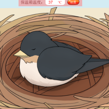 鸟巢游戏 鸟巢游戏