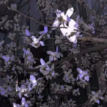 ����˾���˵�������� ��˾����Ա������˵˵