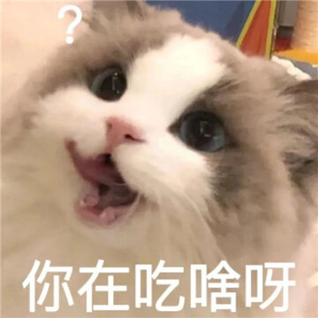 ����è��΢�ű���ܻ��� һ��Ҫ���ϵ�����è�����