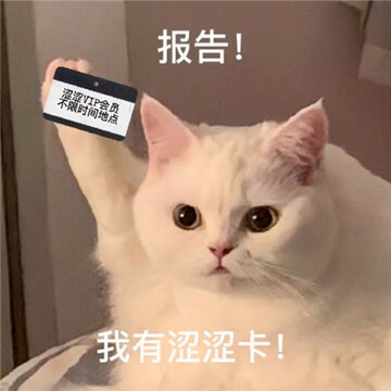 ����è��΢�ű���ܻ��� һ��Ҫ���ϵ�����è�����