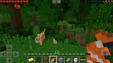�ҵ�����1.20.0.24���ʰ�(Minecraft)