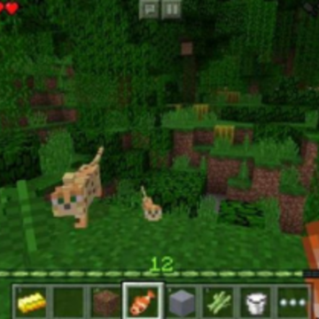 �ҵ�����1.20.0.24���ʰ�(Minecraft)