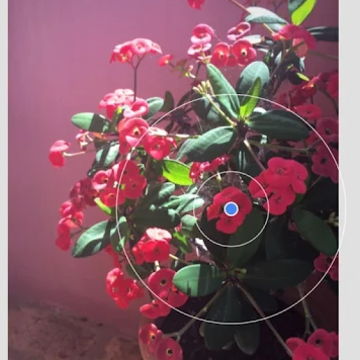 ָ����ͼSnapseedȫ�°�����