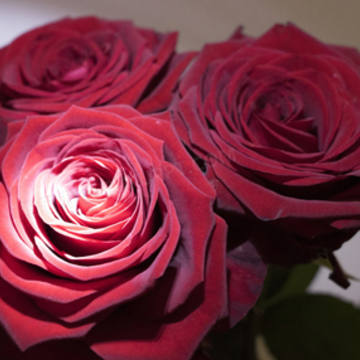 �����ҽ�õ���������������İ� �����Ҿ��޵Ķ̾�