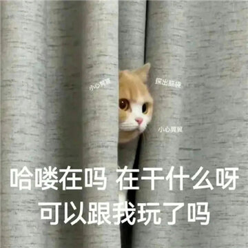 ���°泬��ֵĻ��ֱ��� �����Ȥ΢�ű�����������