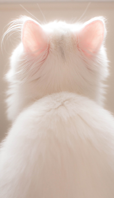 ���Ϻܻ��ȵ�ȫ�����ʱ�ֽ ��������������ֽ