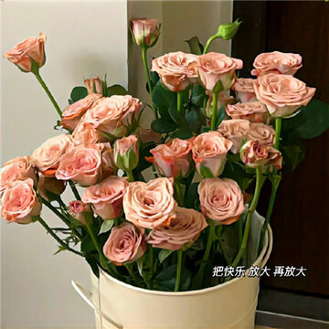 �ճ�����Ĵ��ֱ���ͼ �Һ����ҳ����������ߵ��˶��ܺ�