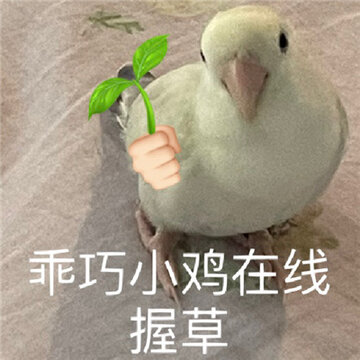 һ������ʵ���ָ�Ц�ı����ȫ ���ֲ������ο�����ʲô��