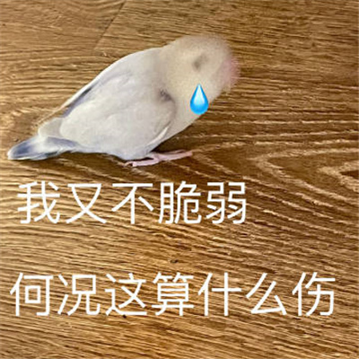 һ������ʵ���ָ�Ц�ı����ȫ ���ֲ������ο�����ʲô��