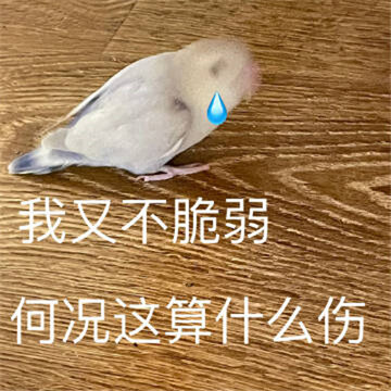 һ������ʵ���ָ�Ц�ı����ȫ ���ֲ������ο�����ʲô��