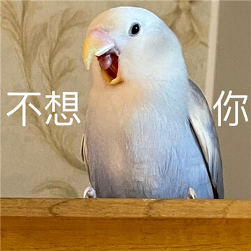 һ������ʵ���ָ�Ц�ı����ȫ ���ֲ������ο�����ʲô��