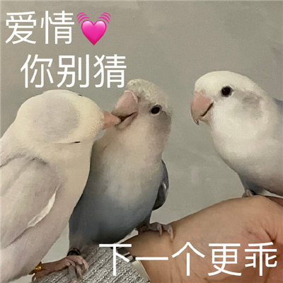 һ������ʵ���ָ�Ц�ı����ȫ ���ֲ������ο�����ʲô��