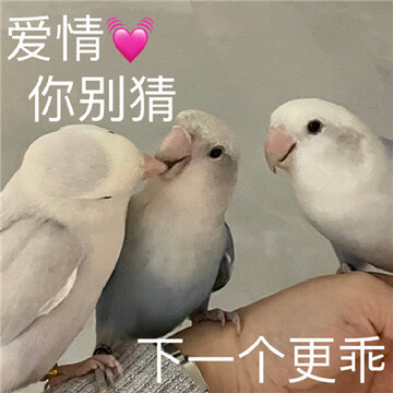 һ������ʵ���ָ�Ц�ı����ȫ ���ֲ������ο�����ʲô��
