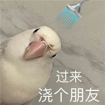 һ������ʵ���ָ�Ц�ı����ȫ ���ֲ������ο�����ʲô��