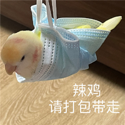 һ������ʵ���ָ�Ц�ı����ȫ ���ֲ������ο�����ʲô��