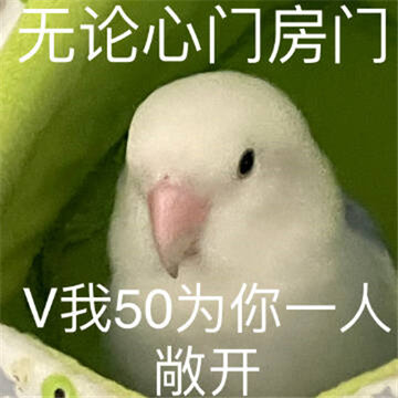һ������ʵ���ָ�Ц�ı����ȫ ���ֲ������ο�����ʲô��