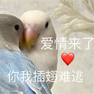 һ������ʵ���ָ�Ц�ı����ȫ ���ֲ������ο�����ʲô��