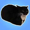 ���˹Τ��è(MaxwellTheCat)v0.1 ��׿��