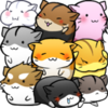 С���������Hamster Lifev4.3.0 ��׿��