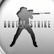 ȫ(Brutal Strike)v1.1581 ׿