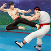 �����˹�����ֵ�Robot Kung Fu Karatev1.25 ��׿��