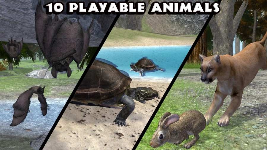 �ռ�ɭ��ģ����ȫ��ɫ��v1.0.4 ���°�