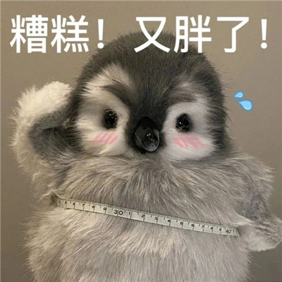 ���ֱ������˿��� �����°����ҷɱ�