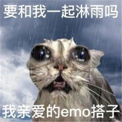 ����ɳ��ĺ���������� Ҫ����һ�����������װ���emo����