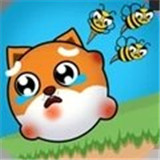 ���ȹ������İ�v1.5 ��׿��