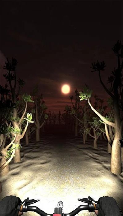 ҹ��ģ����(Night Ride)v0.2 ���°�
