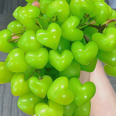 ���Ϻܻ�ins������ˮ��ͼƬ�ϼ� ˮ��Ҳ�������԰�