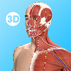 ��Ĵ�ʦappv3.2.1 ���°�