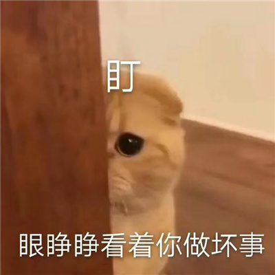 ȫ������ɳ��ı��� �������Ŀ�����������