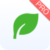 ��Ǣ��Ҷv1.0.230519 �ٷ���