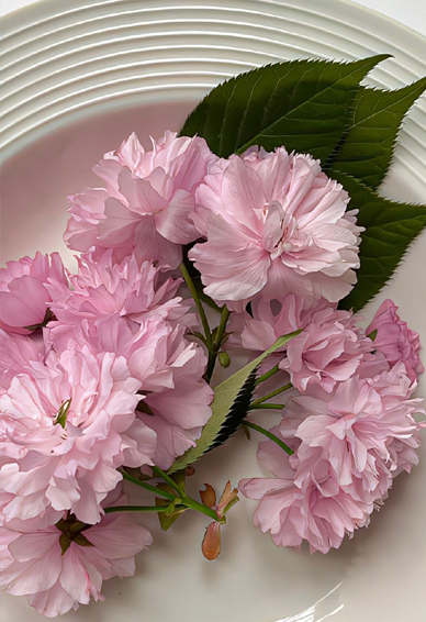 ���������ر��ı�ֽ�ϼ� �����������������ĵĿɰ�