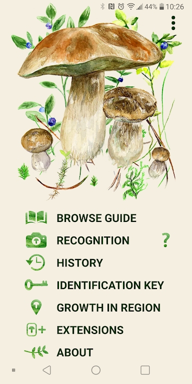 Mushrooms appv106 ׿