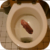 ��Ͱģ����(Shit Simulator)v1.0.3 ���°�